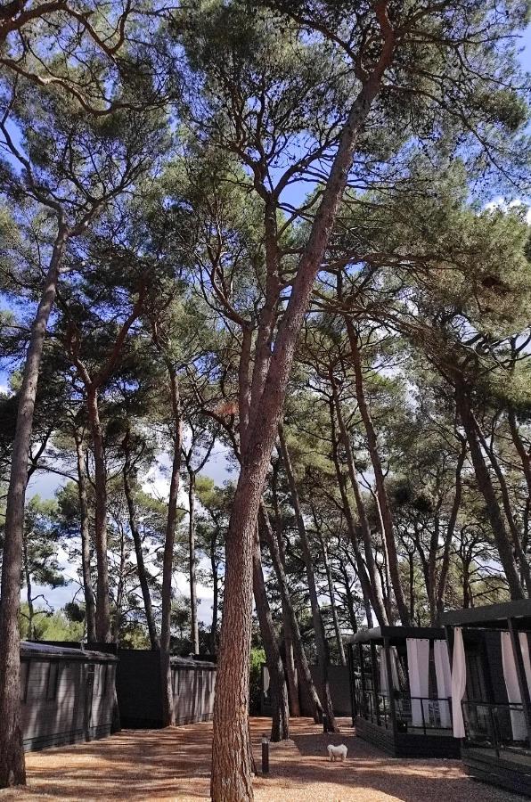 Mobile Home More Porton Nature Hideouts Rovinj Eksteriør billede